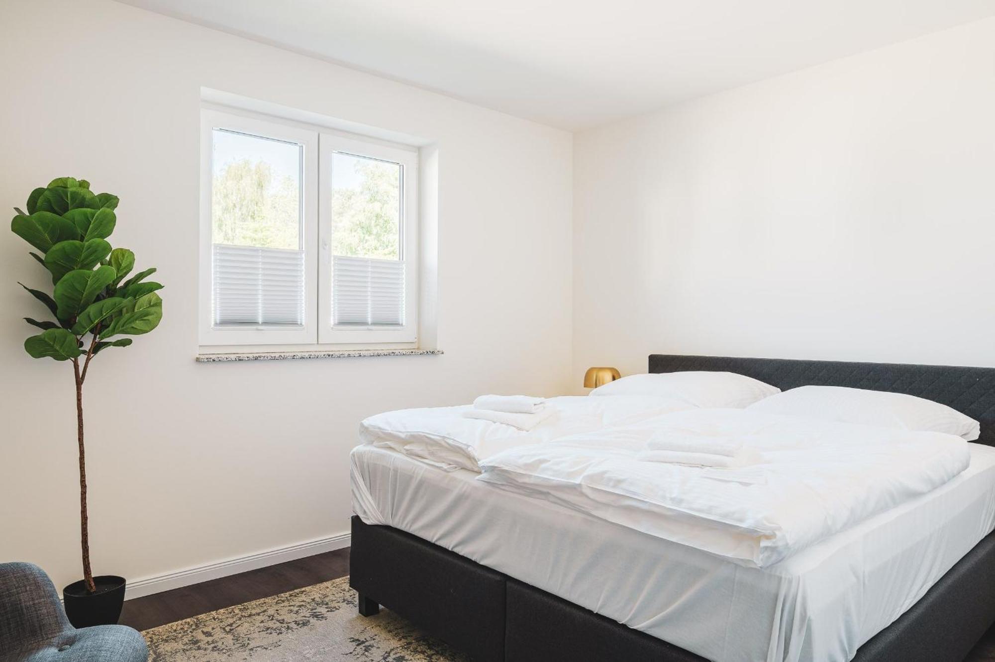 Duenenquartier Apartment 16 Zingst Zewnętrze zdjęcie